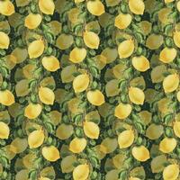 citroner är gul, saftig, mogen med grön löv, blomma knoppar på de grenar, hela och skivor. vattenfärg, hand dragen botanisk illustration. sömlös mönster på en grön bakgrund. vektor