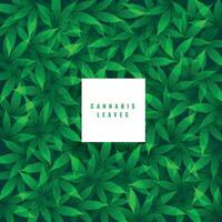 grön marijuana löv mönster bakgrund vektor