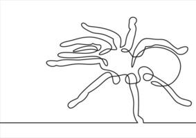 Spindel tarantel vektor -kontinuerlig linje teckning