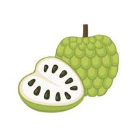 Pudding Apfel einstellen Design mit isoliert ganze und Schnitt tropisch Obst Annona reticulata. Grün Zucker Apfel im eben detailliert Vektor Stil zum Verpackung, Entwürfe, dekorativ Elemente