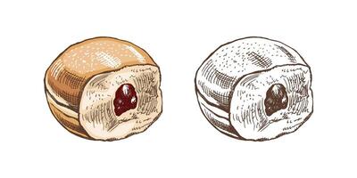 traditionell Deutsche Polieren Krapfen mit Marmelade, abgestaubt. Jahrgang farbig und einfarbig Illustration. Gebäck Süßigkeiten, Nachtisch. Element zum das Design von Etiketten, Verpackung und Postkarten. vektor