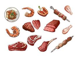 ein einstellen von handgemalt farbig Skizzen von anders Typen von Fleisch, Steaks, Garnele, Huhn, gegrillt Gemüse, Grill. Gekritzel Jahrgang Illustration. graviert Bild. vektor