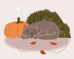 die graue katze schläft neben dem kürbis. die Katze ist in eine Neujahrsgirlande verstrickt. Herbststimmung.