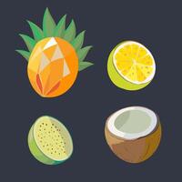tropisch Früchte Vektor Illustration
