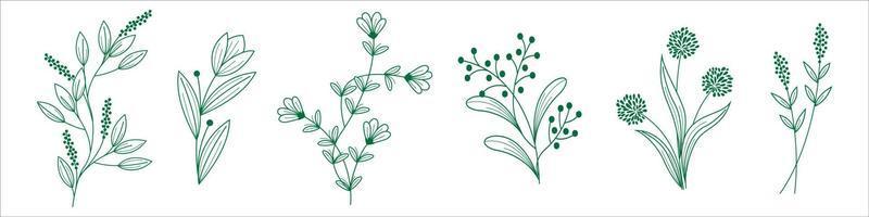handgezeichnete Pflanzen vektor