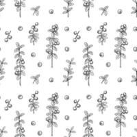 nahtloses Muster mit handgezeichneten Preiselbeerzweigen und Beeren isoliert auf weißem Hintergrund. Vektor-Illustration im Vintage-Skizzen-Stil vektor
