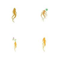 Satz von Ginseng-Logo-Illustrations-Design-Vorlage vektor