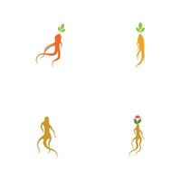 Satz von Ginseng-Logo-Illustrations-Design-Vorlage vektor