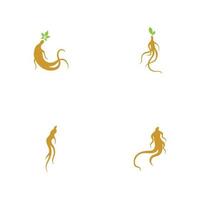 Satz von Ginseng-Logo-Illustrations-Design-Vorlage vektor