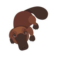 söt brun australier näbbdjur på isolerat bakgrund vektor