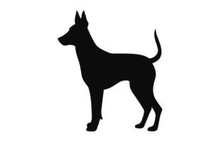 Portugiesisch Podengo Hund schwarz Silhouette Vektor isoliert auf ein Weiß Hintergrund