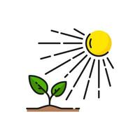 Pflanze wachsend Linie Symbol, sprießen Grün Blätter, Sonne vektor