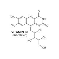 vitamin b2, riboflavin molekyl formel strukturera vektor