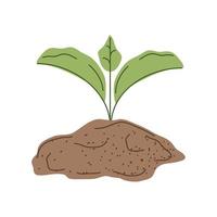 Wachstumspflanze im Boden vektor
