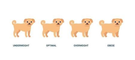 body mass index hund, diagram vikt husdjur. bmi hälsa, undervikt, optimal, överviktig och fetma. husdjur ingefära hund. vektor illustration