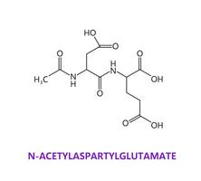 neurotransmittor n-acetylaspartylglutamat peptid vektor
