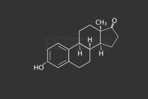 Östron molekular Skelett- chemisch Formel vektor