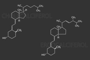 Cholecalciferol oder Ergocalciferol molekular Skelett- chemisch Formel vektor