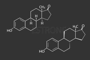 östron molekyl skelett- kemisk formel vektor