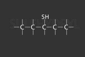 sulfhydryl molekyl skelett- kemisk formel vektor