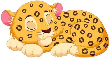söt leopard tecknad serie sovande vektor illustration. djur- natur ikon begrepp isolerat premie vektor