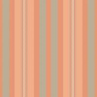 Muster Textil- Vertikale von nahtlos Hintergrund Streifen mit ein Vektor Linien Stoff Textur.