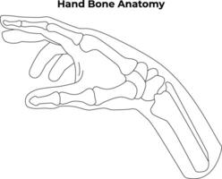 Hand Knochen Anatomie Wissenschaft Design Vektor Illustration Diagramm