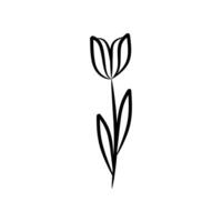 schwarz und Weiß Blume Zeichnung geeignet zum Dekoration, Gruß Karten, Einladungen, Logos, und botanisch Design Elemente, Blumen- Muster. vektor