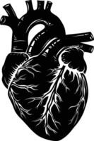 ai generiert Silhouette zum intern Organe von das Herz schwarz Farbe nur vektor