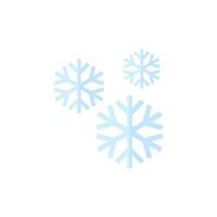 snöflinga ikon i platt Färg stil. natur snöflingor vinter- december vektor