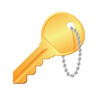 Schlüssel Symbol im Farbe. Sicherheit Schutz Haus vektor