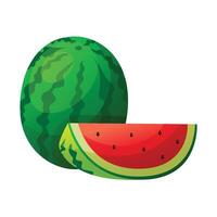 Wassermelone Obst Symbol Design. frisch Obst vektor