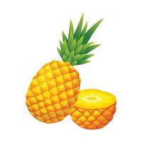 ananas frukt ikon design. färsk frukt vektor