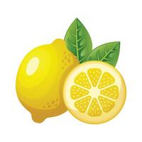 citron- frukt ikon design. färsk frukt vektor
