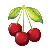 körsbär frukt ikon design. färsk frukt vektor