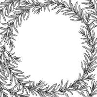 svartvit ram med hand dragen vektor illustration av rosmarin brunch, svart och vit inked skiss av ört, krydda växt isolerat på vit bakgrund