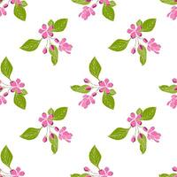 körsbär blomma gren med hand dragen sakura blomma. sakura mönster. vektor