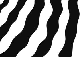 Zebra hud bakgrund vektor