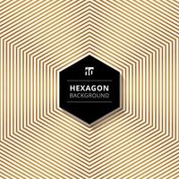 abstrakt guldfärg hexagoner linjer mönster bakgrund med svart hexagon textruta design på vit bakgrund. vektor
