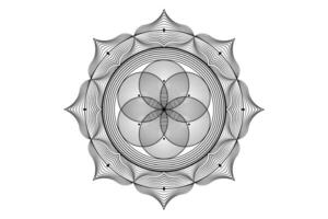 heilig Lotus Yantra mandala, mystisch Blume von Leben. heilig Geometrie, Vektor Logo Grafik Element isoliert. Mystiker Symbol Samen von Leben, geometrisch Zeichnung Zeichen, esoterisch Lotus Blume auf Weiß Hintergrund