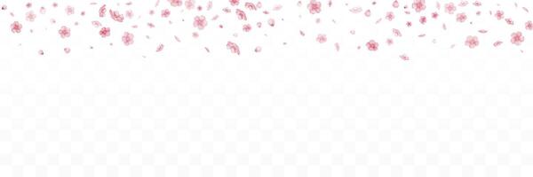 faller blommor och kronblad av rosa sakura. vektor illustration.