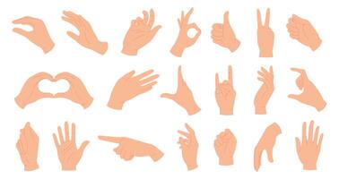 Hände halten Gesten. elegant weiblich und männlich Hand zeigen Herz, OK, wie, zeigen Finger und winken Palme. modisch Hände posiert Vektor einstellen