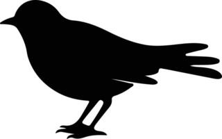 Americanrobin schwarz Silhouette vektor