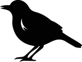 Americanrobin schwarz Silhouette vektor