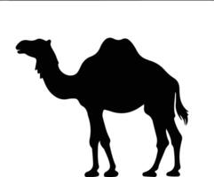 bactrian Kamel schwarz Silhouette vektor