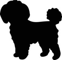 Bichonfrise schwarz Silhouette vektor