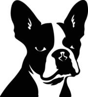 Boston Terrier Silhouette vektor