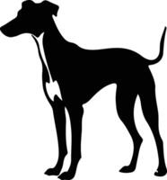 Whippet schwarz Silhouette vektor