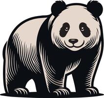 süß und schön Panda Vektor Kunst