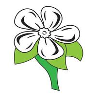 Jasmin Blume Symbol Logo Vektor Design Vorlage